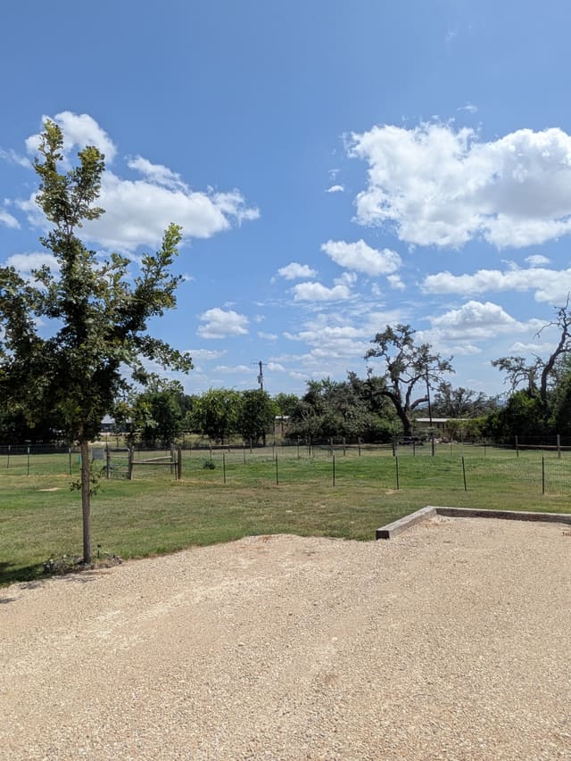 Large dog park